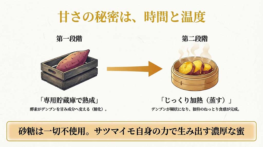 専用貯蔵庫での熟成（糖化）と、じっくり蒸す工程（糊化）で濃厚な蜜が生まれる仕組み
