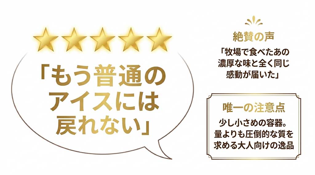 「もう普通のアイスに戻れない」という絶賛の声と、質を求める大人向けゆえの「少し小さめの容器」という注意点のまとめ