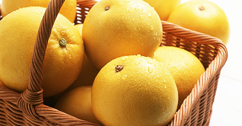 夏文旦･河内晩柑を産地愛媛から通販お取り寄せ