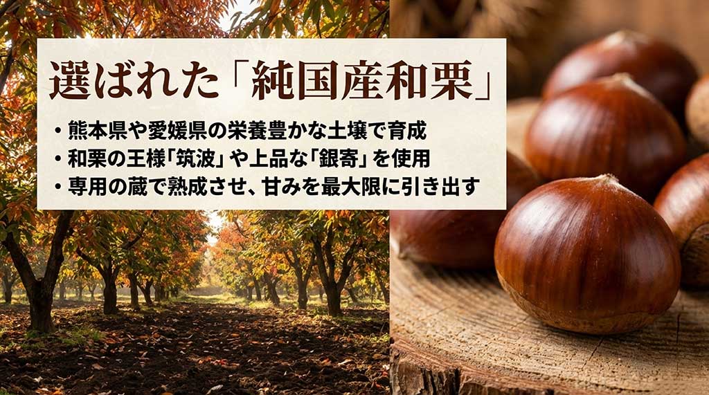 熊本県や愛媛県産の「筑波」や「銀寄」といった王道の和栗を使用し、専用の蔵で熟成させて甘みを引き出していることを説明するスライド