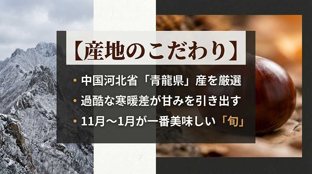 寒暖差が甘みを引き出す中国河北省青龍県産の栗と、11月から1月が一番美味しい旬であることを説明する資料